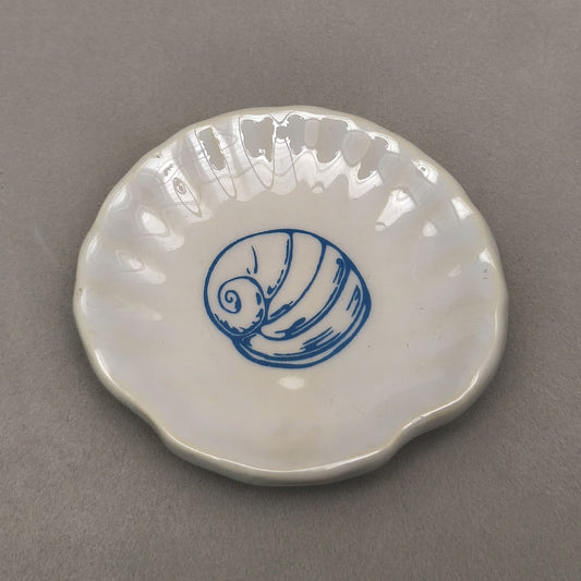 JOYERO CONCHA ESPIRAL